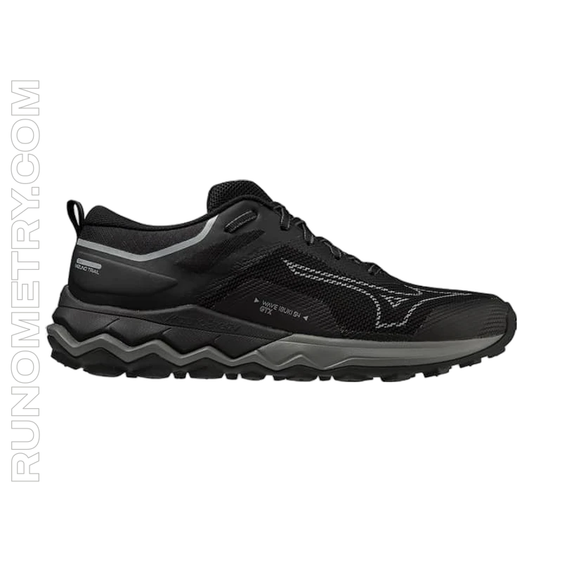 Mizuno Wave Ibuki 4 GTX, zijaanzicht, Noir / Gris