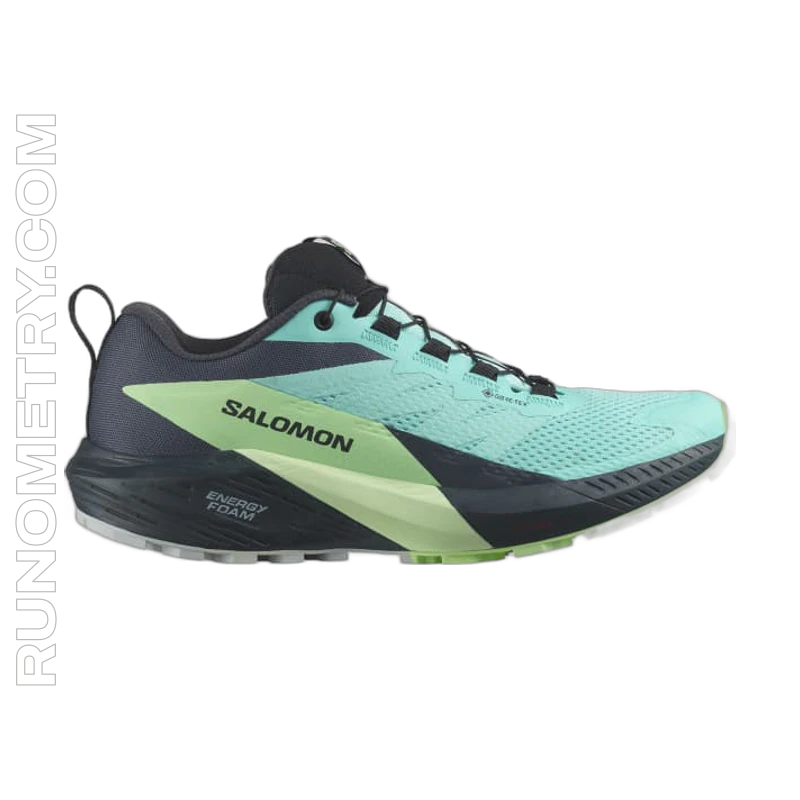 Salomon Sense Ride 5 GTX, side view, Bleu / Vert / Noir